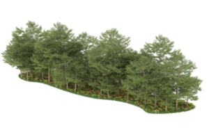 Realistic forest isolated on transparent background. 3d rendering - illustration png