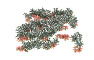 Realistic foliage isolated on transparent background. 3d rendering - illustration png