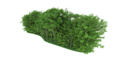 realistischer wald lokalisiert auf transparentem hintergrund. 3D-Rendering - Abbildung png