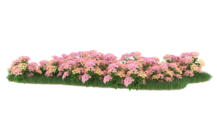 Realistic foliage isolated on transparent background. 3d rendering - illustration png