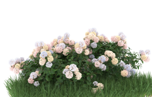 Realistic foliage isolated on transparent background. 3d rendering - illustration png