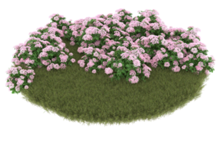 Realistic foliage isolated on transparent background. 3d rendering - illustration png