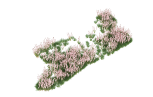 Realistic foliage isolated on transparent background. 3d rendering - illustration png