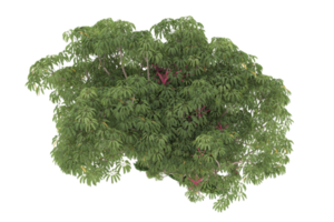 Realistic forest isolated on transparent background. 3d rendering - illustration png