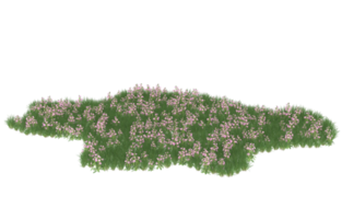 Realistic foliage isolated on transparent background. 3d rendering - illustration png