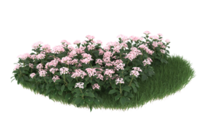 Realistic foliage isolated on transparent background. 3d rendering - illustration png