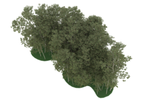 forêt réaliste isolée sur fond transparent. rendu 3d - illustration png