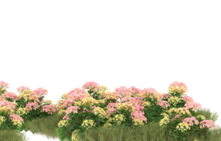 Realistic foliage isolated on transparent background. 3d rendering - illustration png