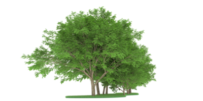 Realistic forest isolated on transparent background. 3d rendering - illustration png