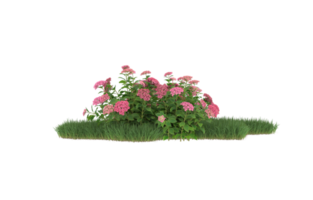 Realistic foliage isolated on transparent background. 3d rendering - illustration png