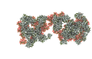 realistisches laub isoliert auf transparentem hintergrund. 3D-Rendering - Abbildung png