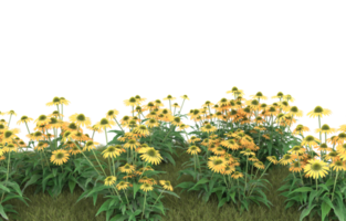 Realistic foliage isolated on transparent background. 3d rendering - illustration png