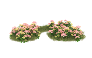 Realistic foliage isolated on transparent background. 3d rendering - illustration png