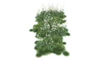 Realistic foliage isolated on transparent background. 3d rendering - illustration png