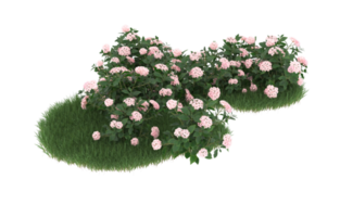 Realistic foliage isolated on transparent background. 3d rendering - illustration png