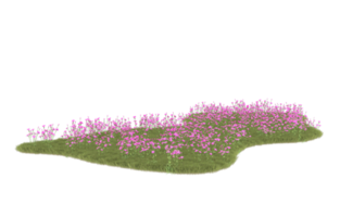 Realistic foliage isolated on transparent background. 3d rendering - illustration png