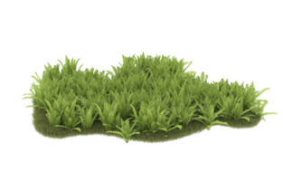 Realistic foliage isolated on transparent background. 3d rendering - illustration png