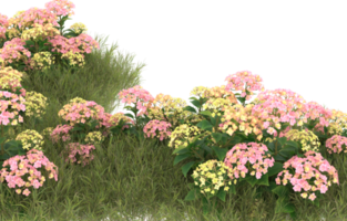 Realistic foliage isolated on transparent background. 3d rendering - illustration png