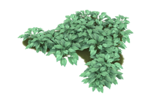 Realistic foliage isolated on transparent background. 3d rendering - illustration png