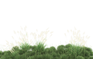 Realistic foliage isolated on transparent background. 3d rendering - illustration png