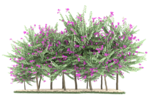 forêt réaliste isolée sur fond transparent. rendu 3d - illustration png