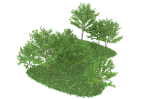 floresta realista isolada em fundo transparente. renderização 3D - ilustração png