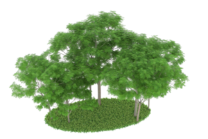 Realistic forest isolated on transparent background. 3d rendering - illustration png