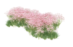 Realistic foliage isolated on transparent background. 3d rendering - illustration png