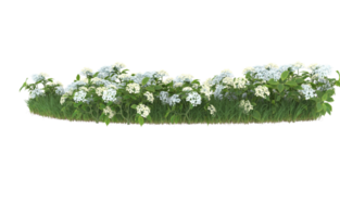 Realistic foliage isolated on transparent background. 3d rendering - illustration png