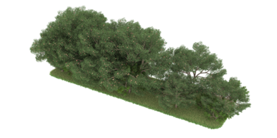 floresta realista isolada em fundo transparente. renderização 3D - ilustração png