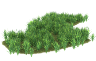 Realistic foliage isolated on transparent background. 3d rendering - illustration png