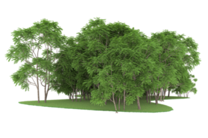 Realistic forest isolated on transparent background. 3d rendering - illustration png