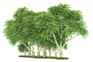 forêt réaliste isolée sur fond transparent. rendu 3d - illustration png