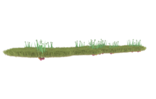 Realistic foliage isolated on transparent background. 3d rendering - illustration png