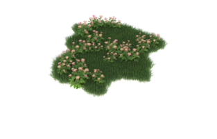 Realistic foliage isolated on transparent background. 3d rendering - illustration png