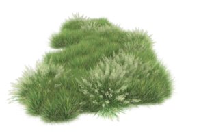 Realistic foliage isolated on transparent background. 3d rendering - illustration png