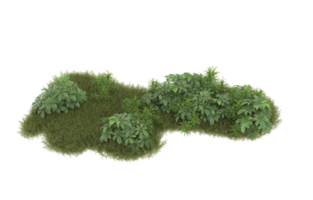 Realistic foliage isolated on transparent background. 3d rendering - illustration png