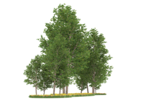 Realistic forest isolated on transparent background. 3d rendering - illustration png