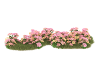 Realistic foliage isolated on transparent background. 3d rendering - illustration png