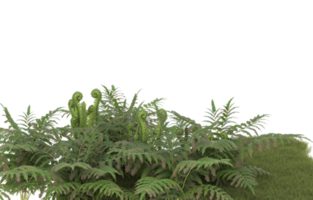 Realistic foliage isolated on transparent background. 3d rendering - illustration png