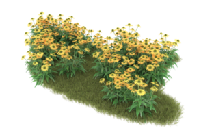 Realistic foliage isolated on transparent background. 3d rendering - illustration png