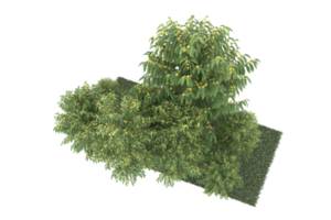 floresta realista isolada em fundo transparente. renderização 3D - ilustração png