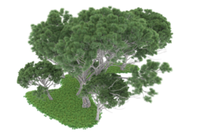 realistico foresta isolato su trasparente sfondo. 3d interpretazione - illustrazione png