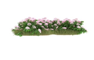 Realistic foliage isolated on transparent background. 3d rendering - illustration png