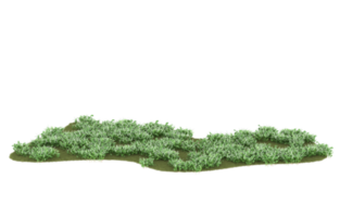 Realistic foliage isolated on transparent background. 3d rendering - illustration png