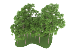 forêt réaliste isolée sur fond transparent. rendu 3d - illustration png