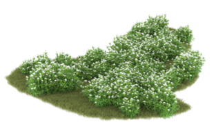 Realistic foliage isolated on transparent background. 3d rendering - illustration png