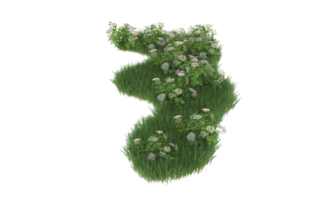 Realistic foliage isolated on transparent background. 3d rendering - illustration png