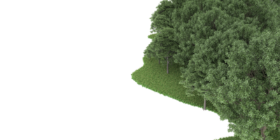 Realistic forest isolated on transparent background. 3d rendering - illustration png