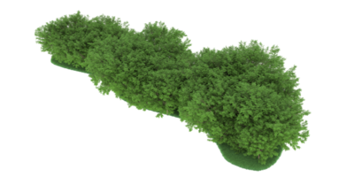 realistico foresta isolato su trasparente sfondo. 3d interpretazione - illustrazione png